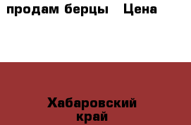продам берцы › Цена ­ 1 300 - Хабаровский край, Хабаровск г. Одежда, обувь и аксессуары » Мужская одежда и обувь   